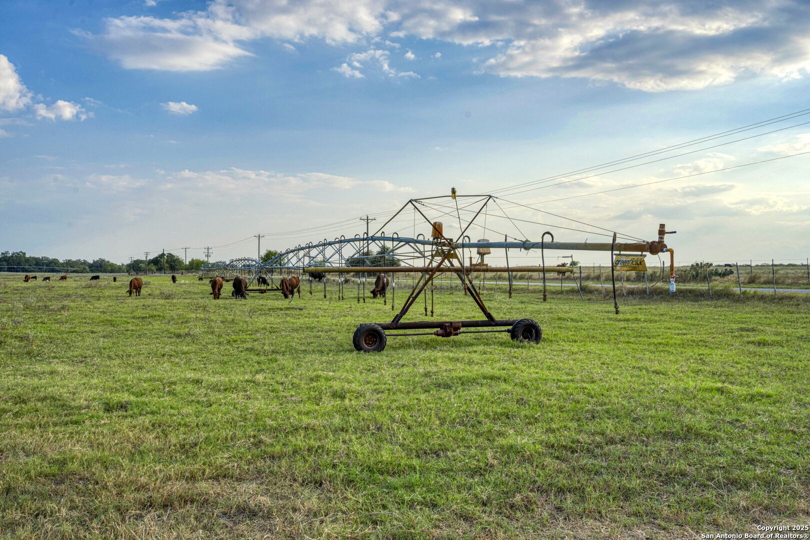 2605 Schuttig Road Pleasanton, TX 78064 - Photo 23 of 35 a view of a garden