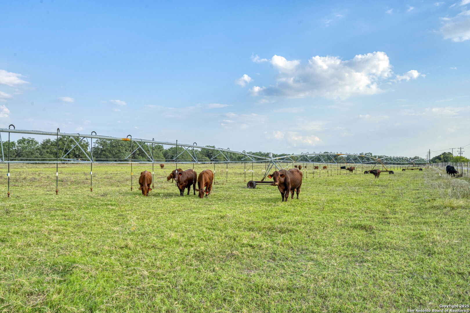 2605 Schuttig Road Pleasanton, TX 78064 - Photo 24 of 35 a view of a lake with outdoor space