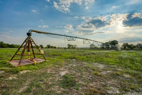 a view of a park with large trees