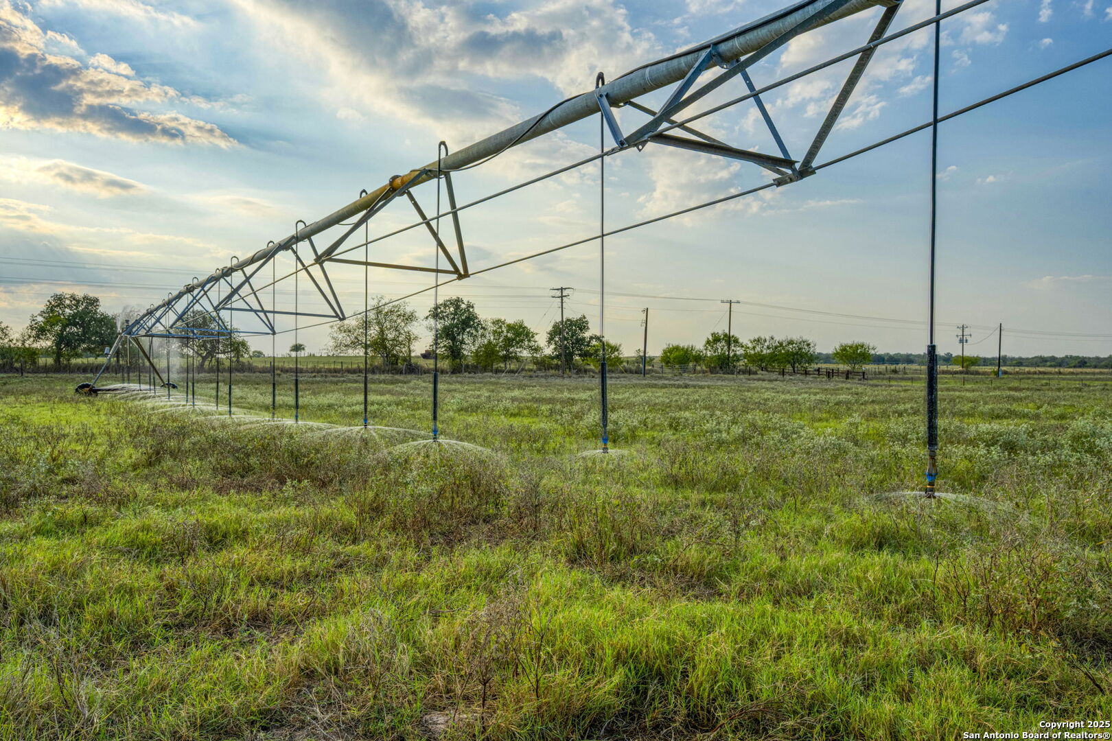 2605 Schuttig Road Pleasanton, TX 78064 - Photo 26 of 35 a view of a field with a big tree