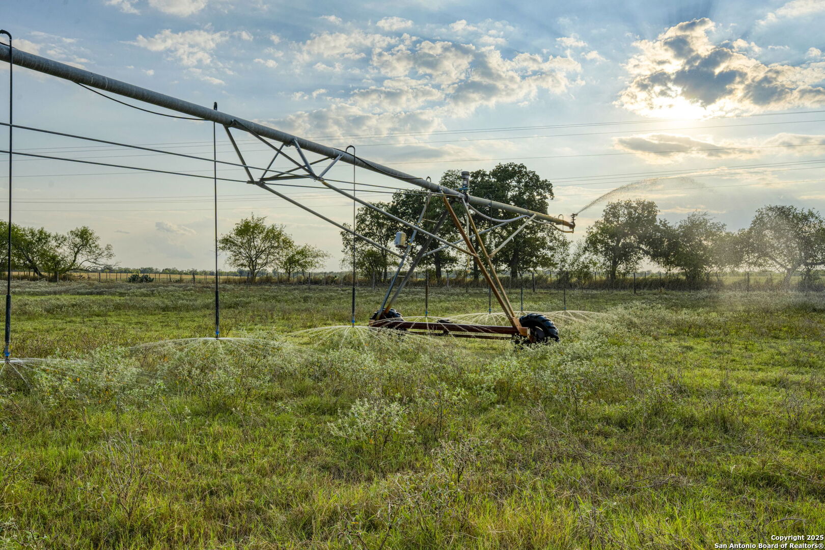 2605 Schuttig Road Pleasanton, TX 78064 - Photo 27 of 35 a view of a park with large trees