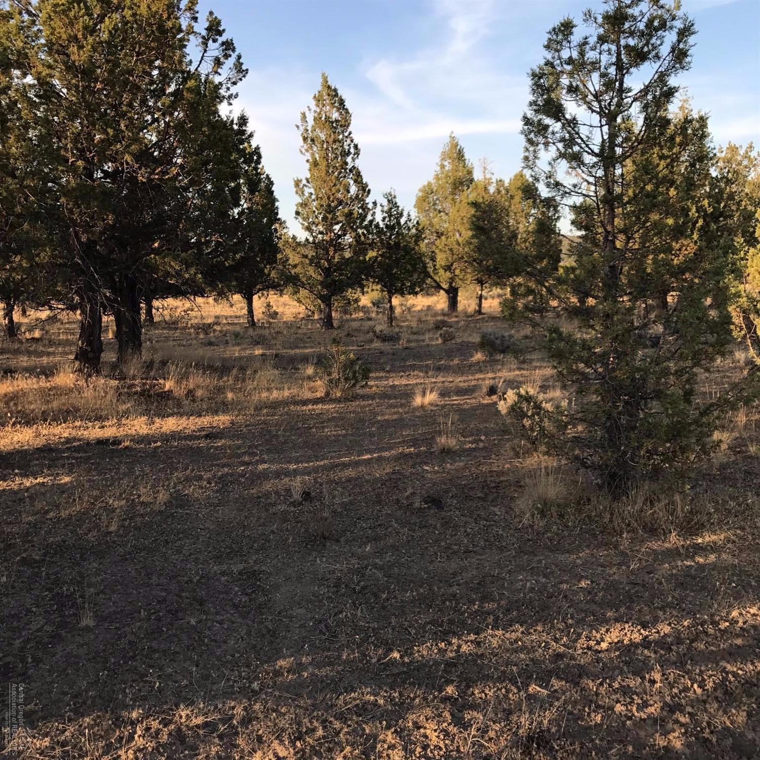 13150 Southeast Falcon Ridge Road Prineville, OR 97754 - Photo 8 of 22 Additional Photo