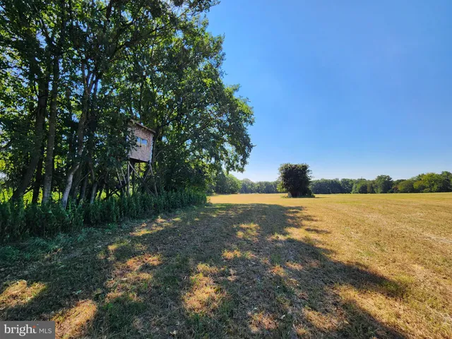 a view of an ocean and beach