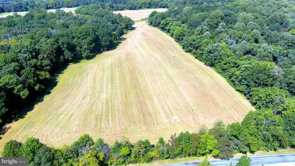 a view of a swimming pool with a garden