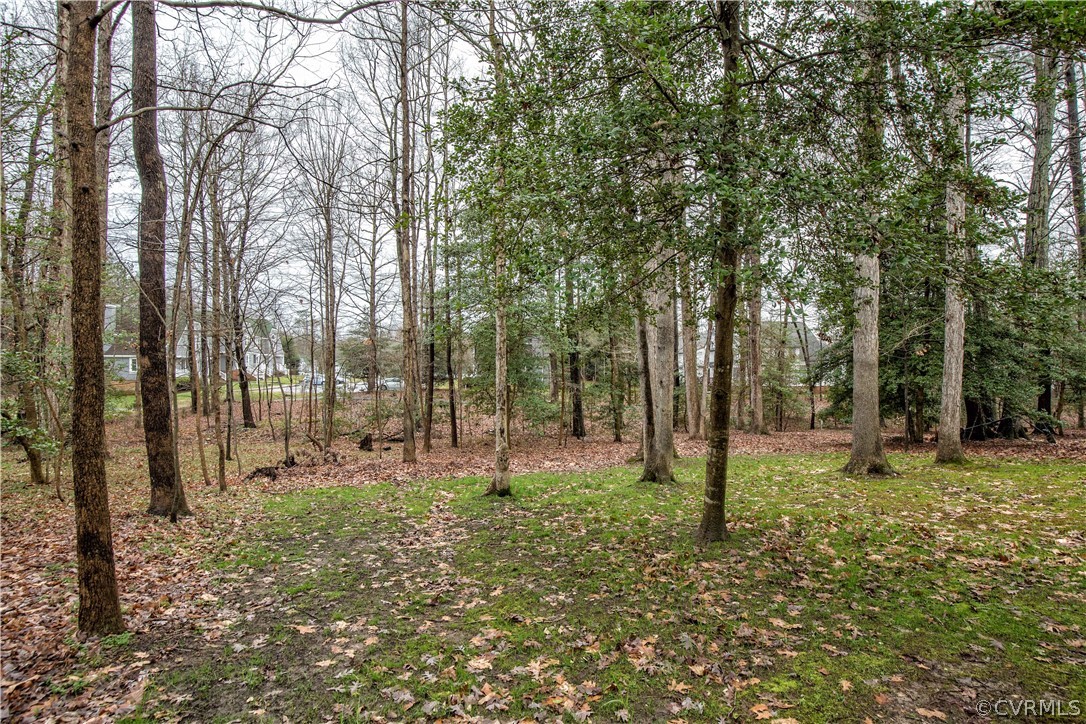 5618 Chatmoss Road Midlothian, VA 23112 - Photo 24 of 25 a big yard with lots of green space and trees