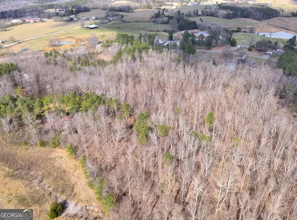 $34,900 | 0 County Road 81, Phil Campbell, AL 35581