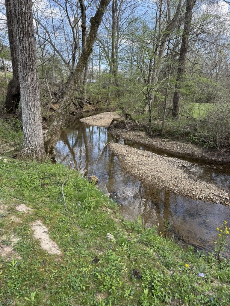 119 Fred Road Bon Aqua, TN 37025 - Photo 52 of 57