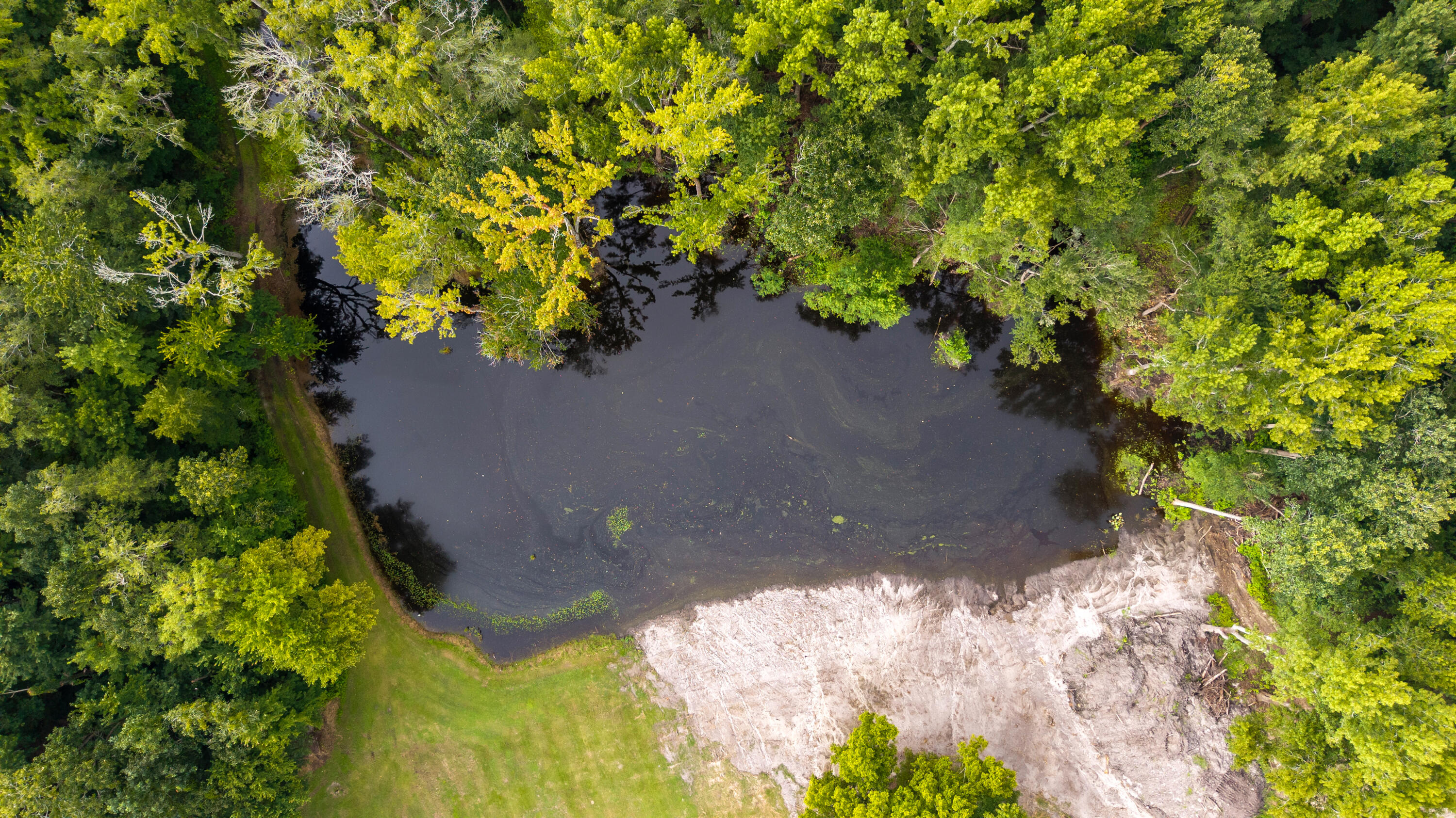 2985 Thadsfarm Road Sumter, SC 29153 - Photo 45 of 83 41