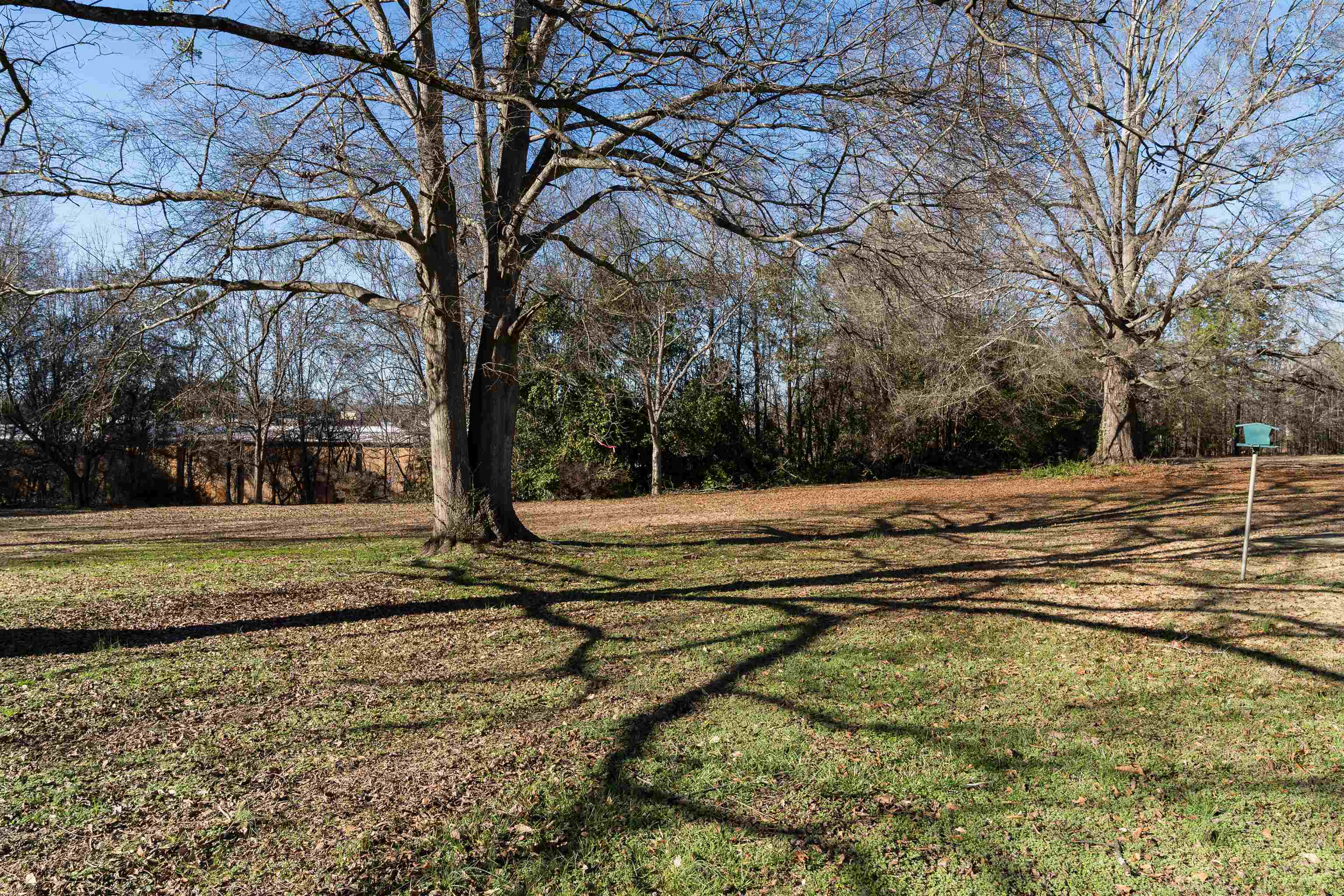 256 Cedar Springs Road Spartanburg, SC 29302 - Photo 30 of 30 Gallery Image 30