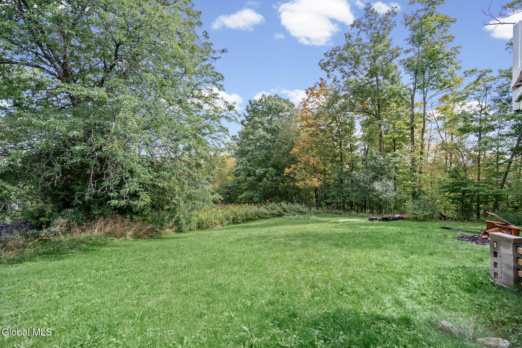 248 Simons Road Berne, NY 12009 - Photo 5 of 37 8-web-or-mls-248-simon-rd