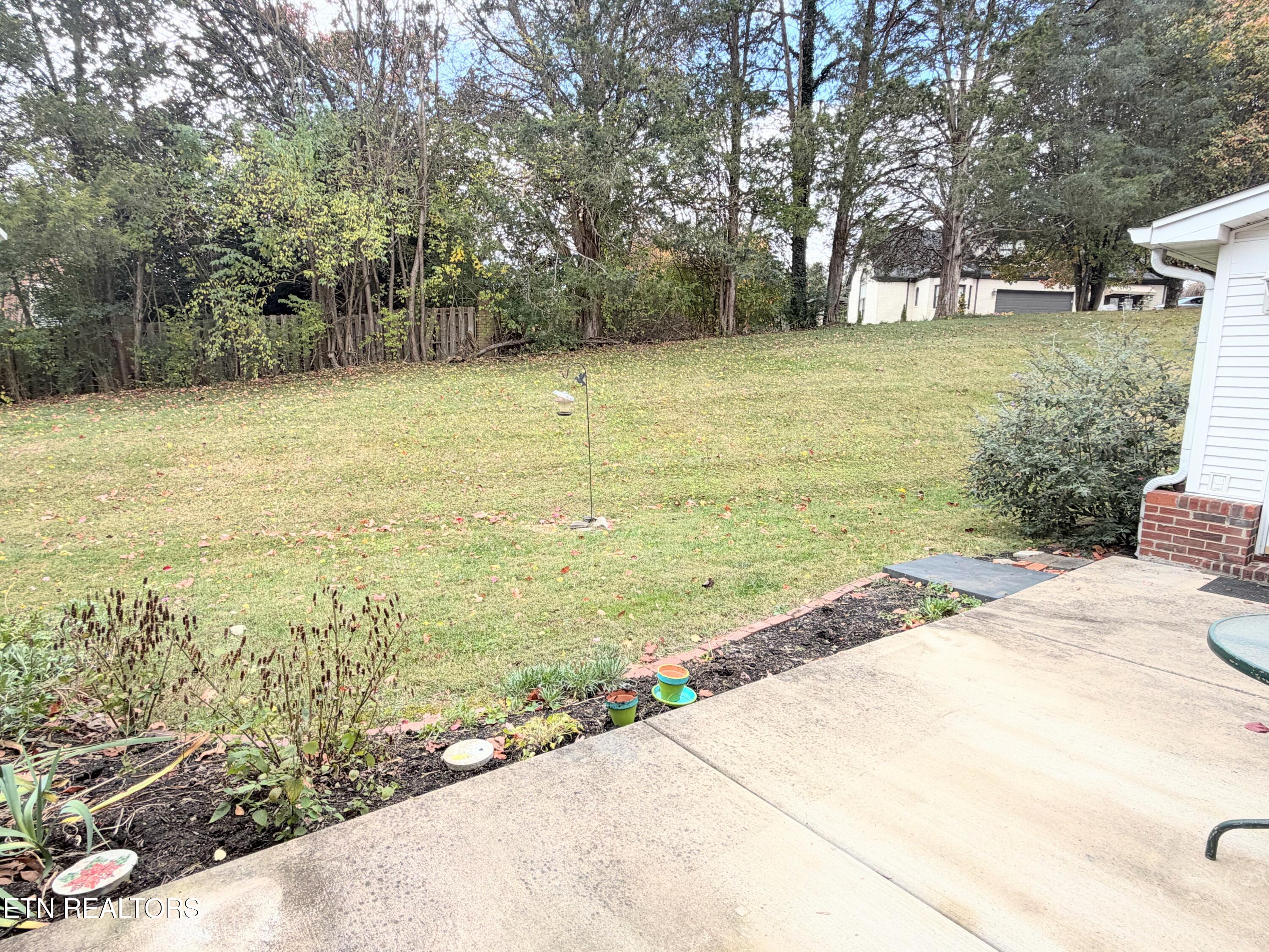 5309 Comice Way Knoxville, TN 37918 - Photo 5 of 24 Back Yard