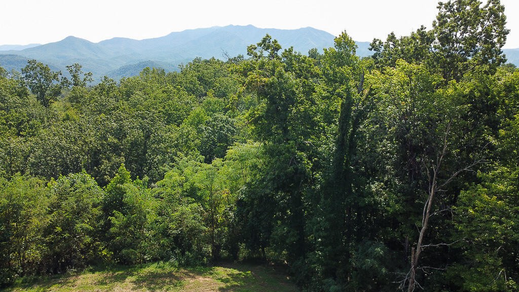 1468 Laurel Road Gatlinburg, TN 37738 - Photo 39 of 40 Gallery Image 39