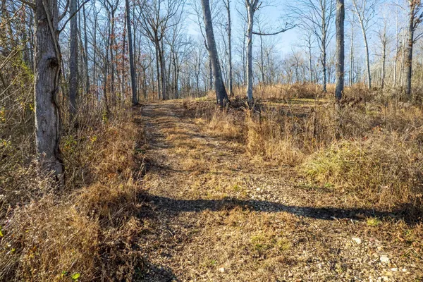 a view of wooden fence