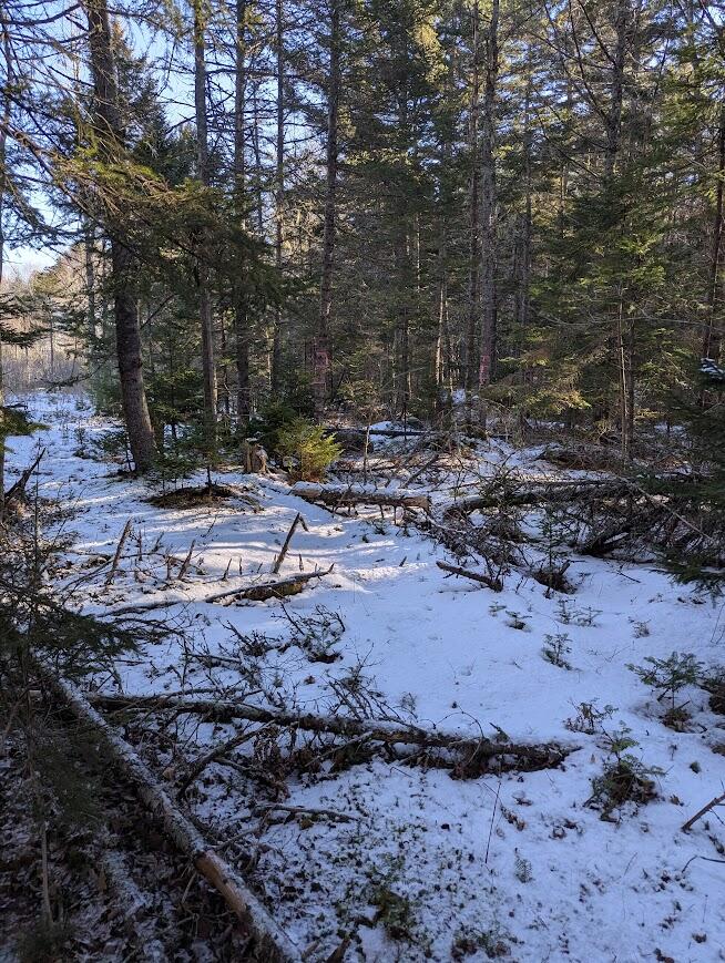 19 Tamarack Lane Cushing, ME 04563 - Photo 10 of 13