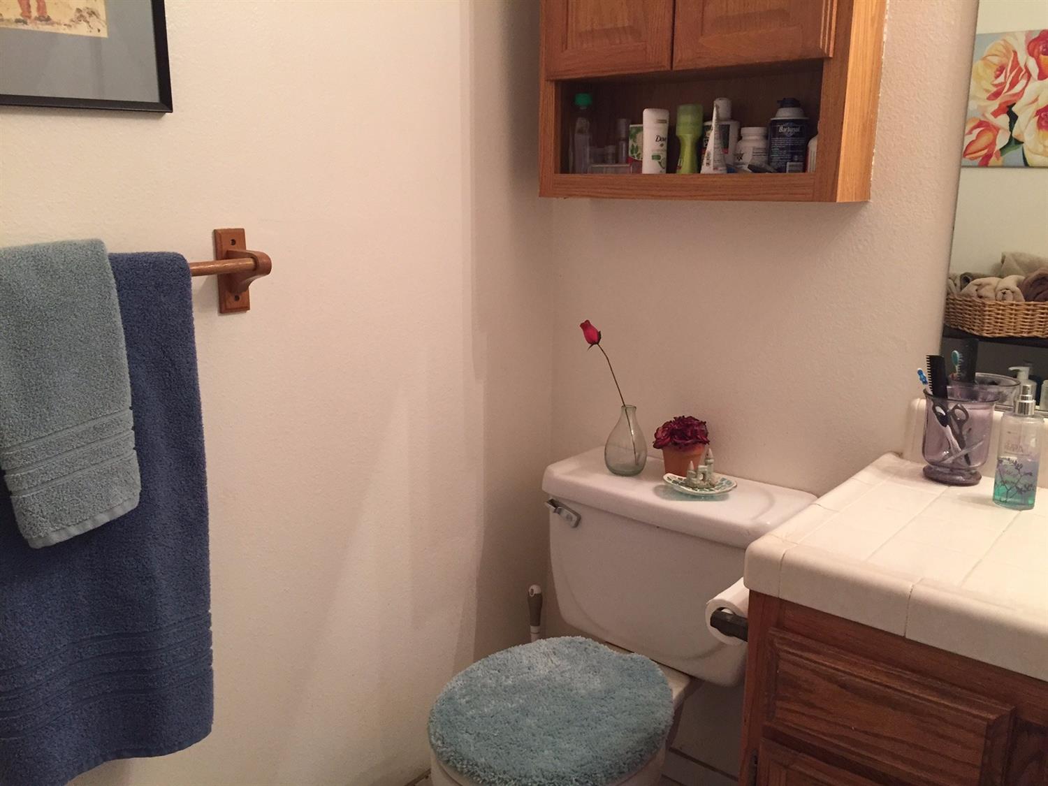 33306 Vetoll Road, Unit 2 Coarsegold, CA 93614 - Photo 42 of 53 Gallery Image 42