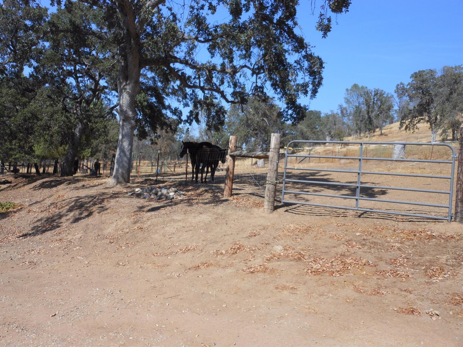 33306 Vetoll Road, Unit 2 Coarsegold, CA 93614 - Photo 49 of 53 Gallery Image 49