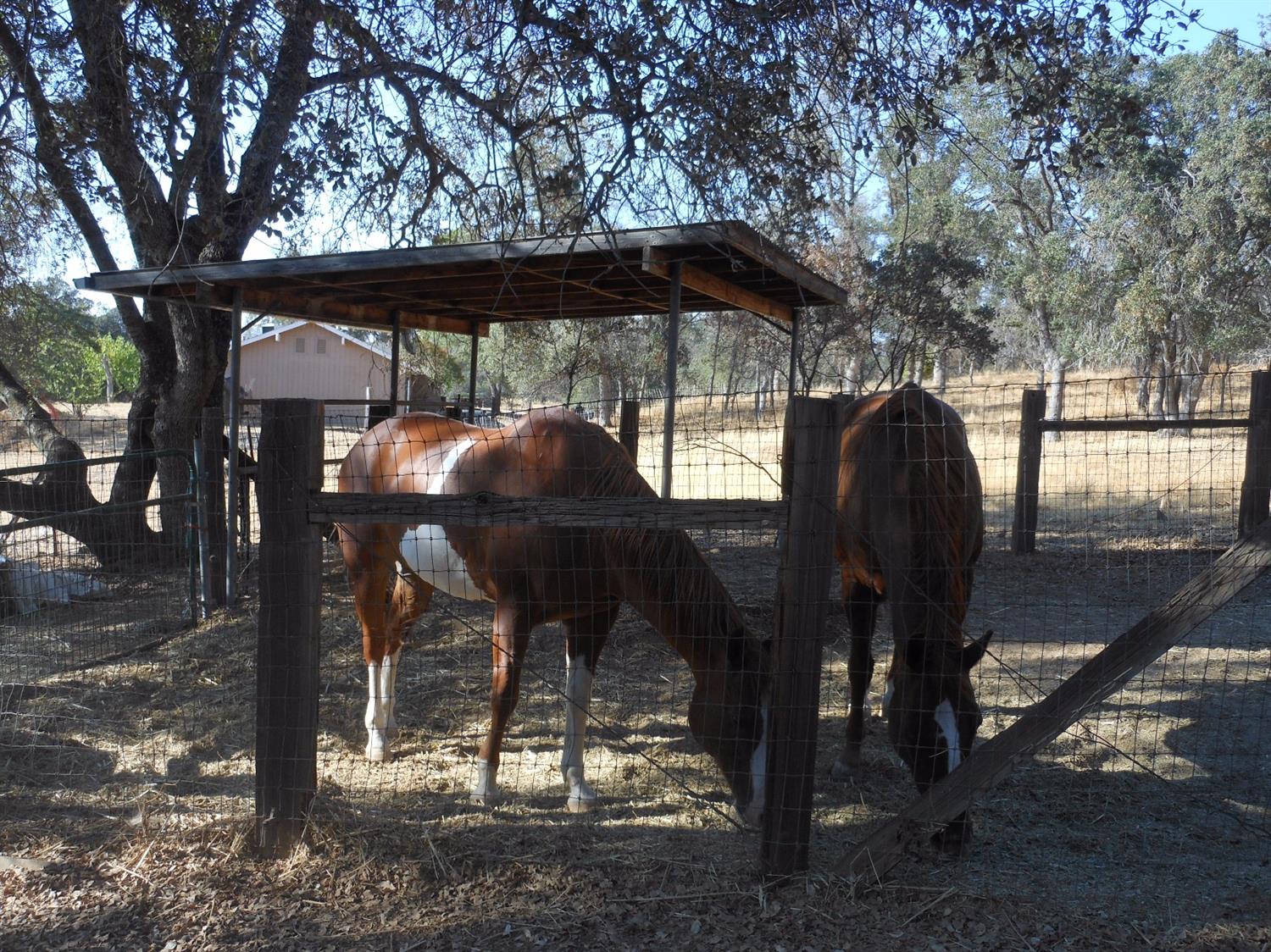 33306 Vetoll Road, Unit 2 Coarsegold, CA 93614 - Photo 51 of 53 Gallery Image 51