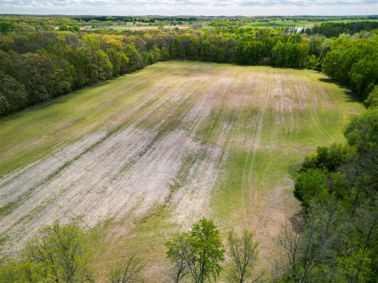 7 Bunkerhill Road Munith, MI 49259 - Photo 6 of 14