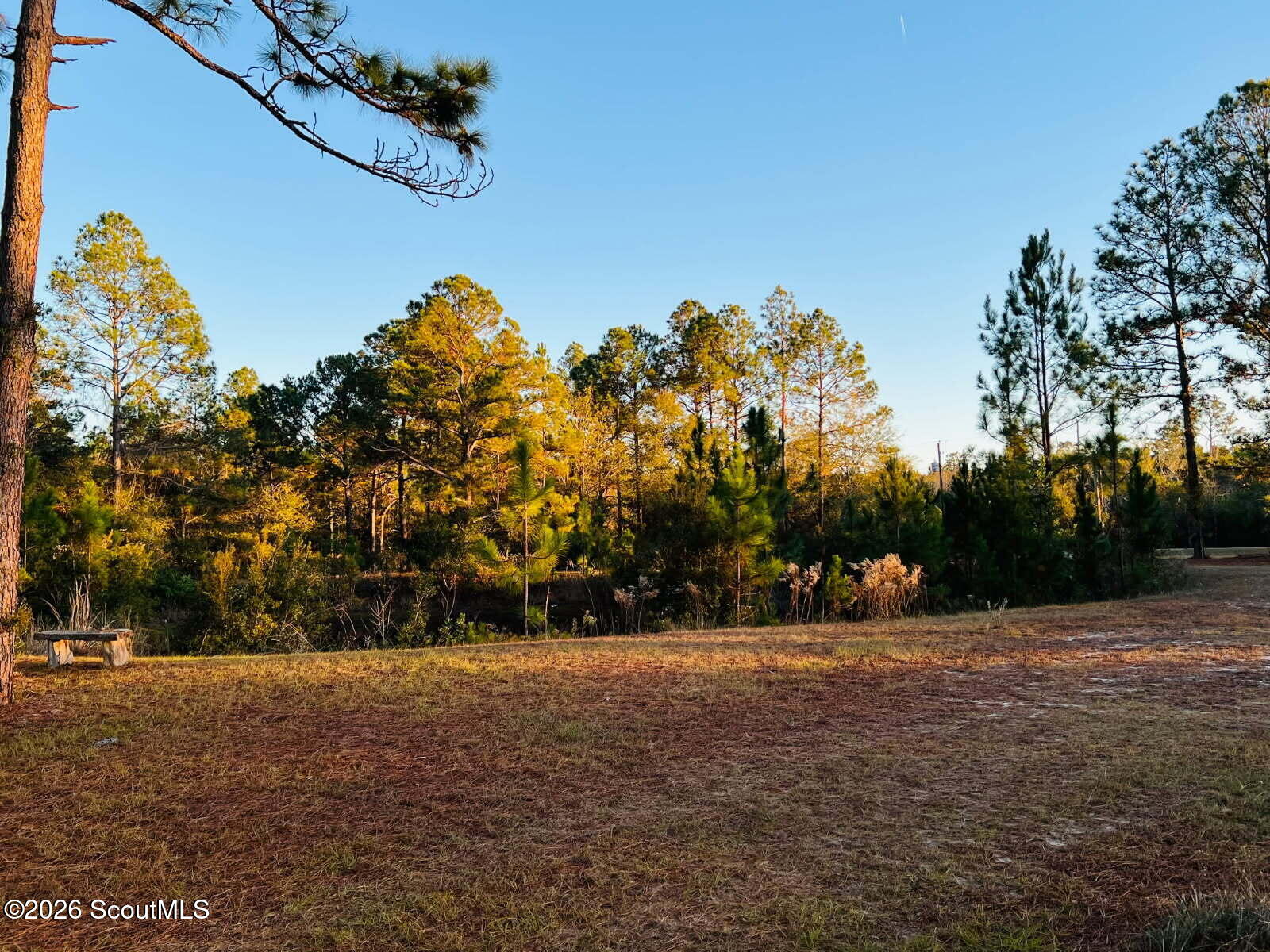 1611 Broadhurst Road West Screven, GA 31560 - Photo 2 of 15