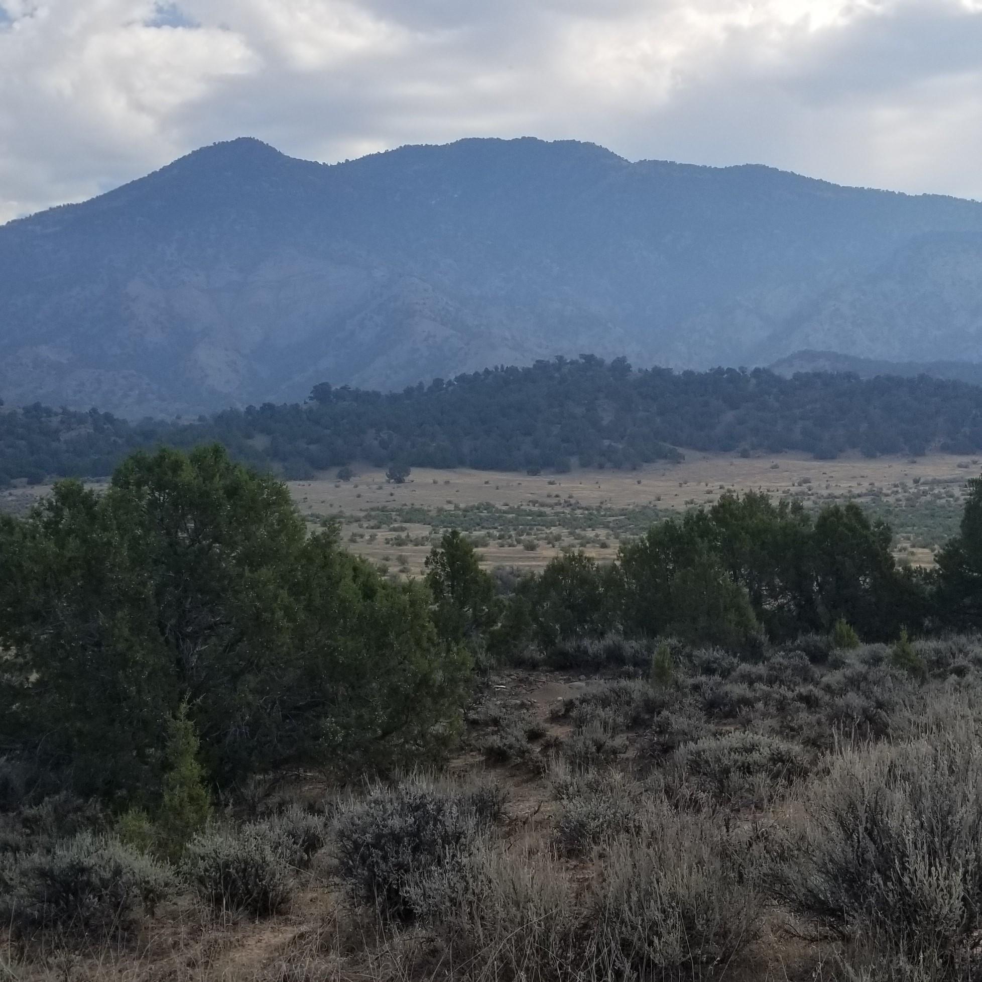 7 Scutter Lane Rifle, CO 81650 - Photo 5 of 9 20200812_094929