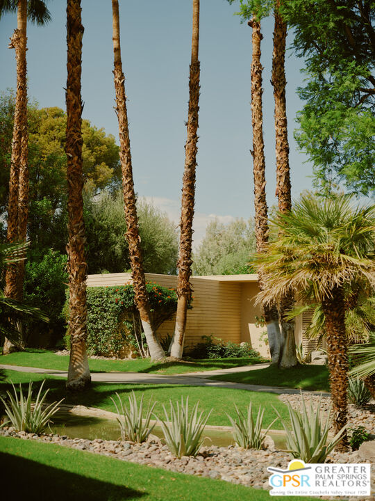 360 Cabrillo Road, Unit 101 Palm Springs, CA 92262 - Photo 36 of 39 a view of a wooden bridge