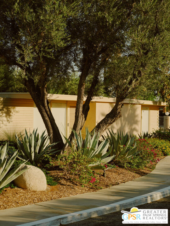 360 Cabrillo Road, Unit 101 Palm Springs, CA 92262 - Photo 37 of 39 a view of a backyard of the house