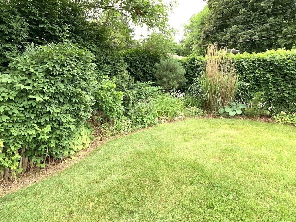 3 Sasur Street Three Rivers, MA 01080 - Photo 20 of 35 a view of a garden with large trees