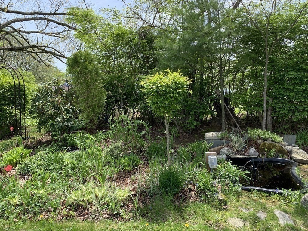 3 Sasur Street Three Rivers, MA 01080 - Photo 23 of 35 a view of outdoor space and garden