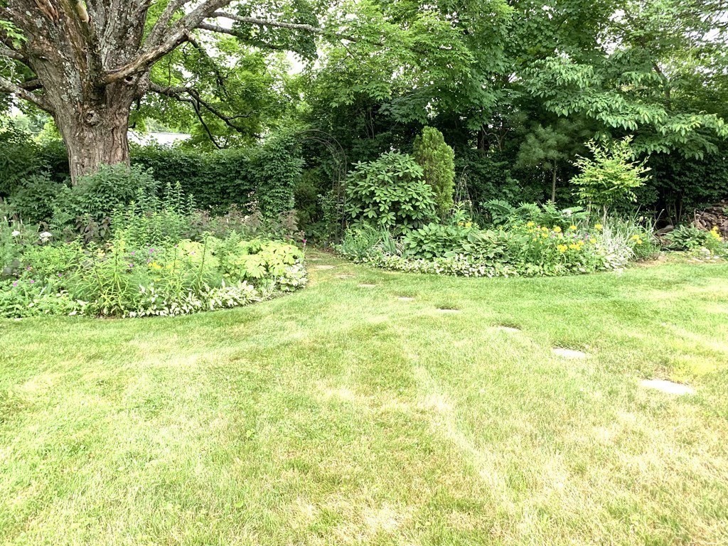 3 Sasur Street Three Rivers, MA 01080 - Photo 27 of 35 a view of yard with green space
