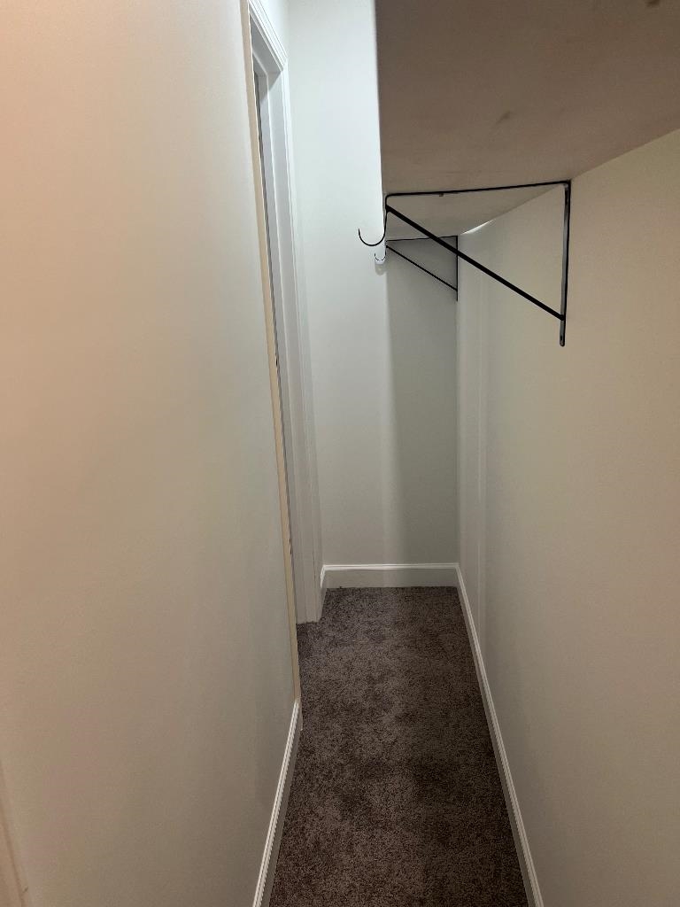 56 South Sanga Road Cordova, TN 38018 - Photo 17 of 26 Walk in closet with dark carpet