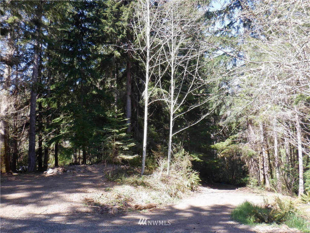 3135 Leland Valley Road West Quilcene, WA 98376 - Photo 16 of 23 Gallery Image 16