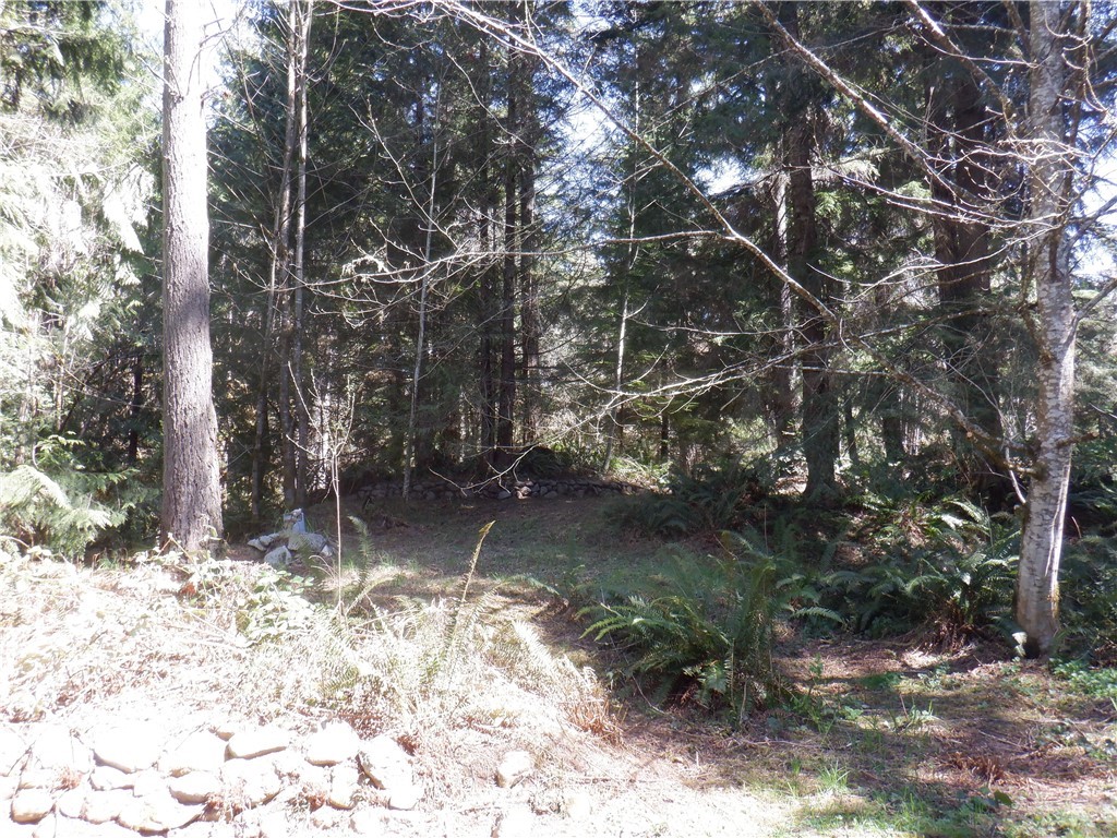 3135 Leland Valley Road West Quilcene, WA 98376 - Photo 18 of 23 Gallery Image 18