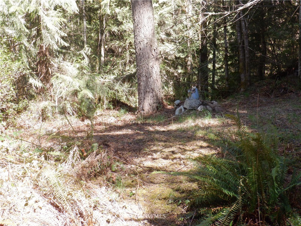 3135 Leland Valley Road West Quilcene, WA 98376 - Photo 19 of 23 Gallery Image 19