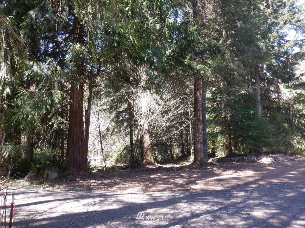 3135 Leland Valley Road West Quilcene, WA 98376 - Photo 4 of 23 Gallery Image 4