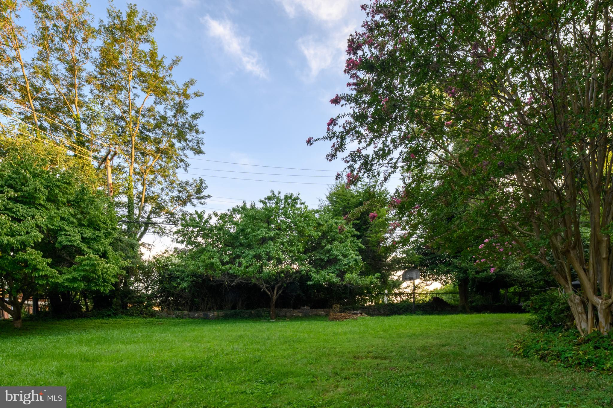 306 Kingston Road Baltimore, MD 21229 - Photo 36 of 44 Backyard