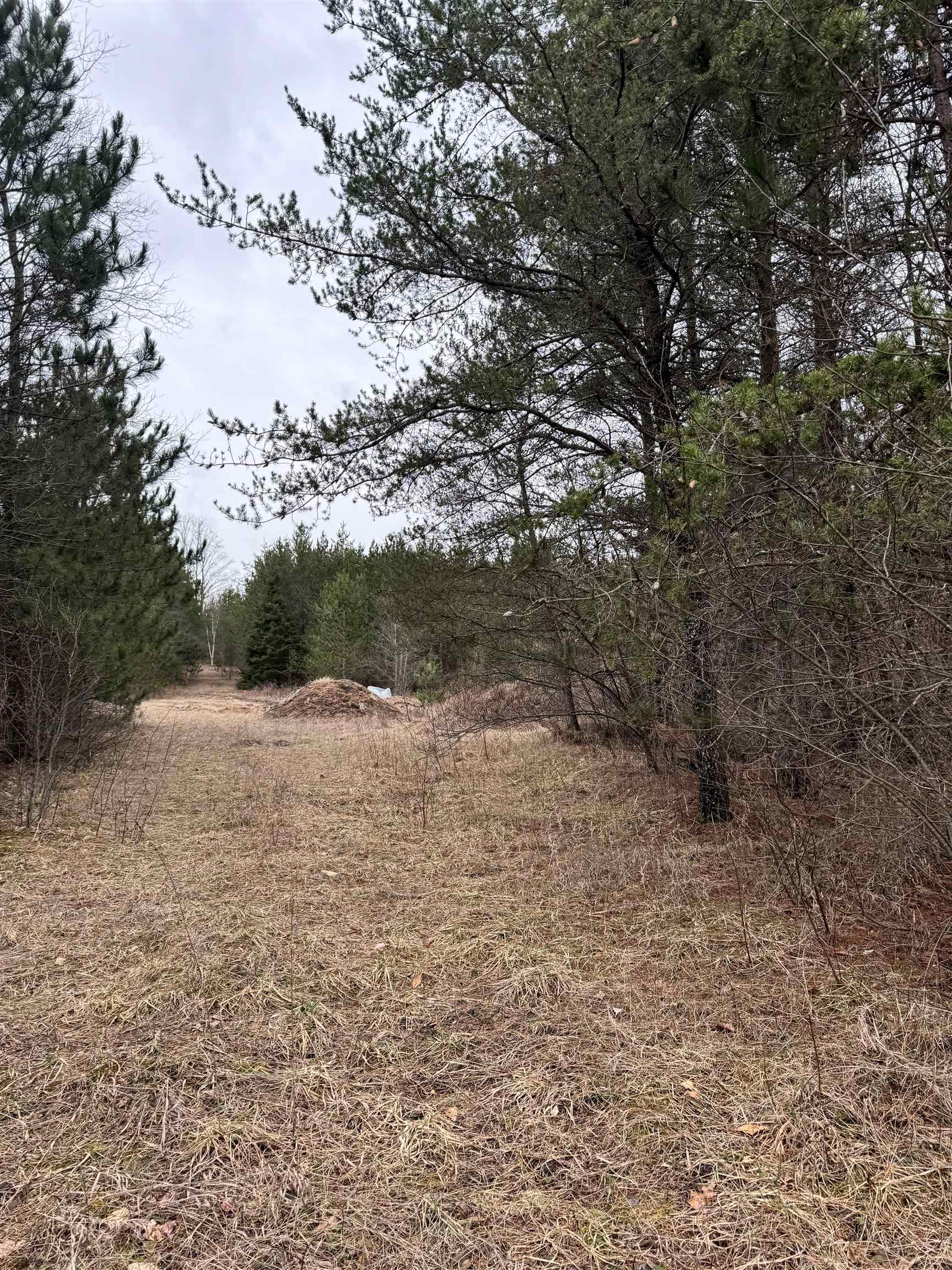 652 Phelps Road Northeast Kalkaska, MI 49646 - Photo 10 of 13