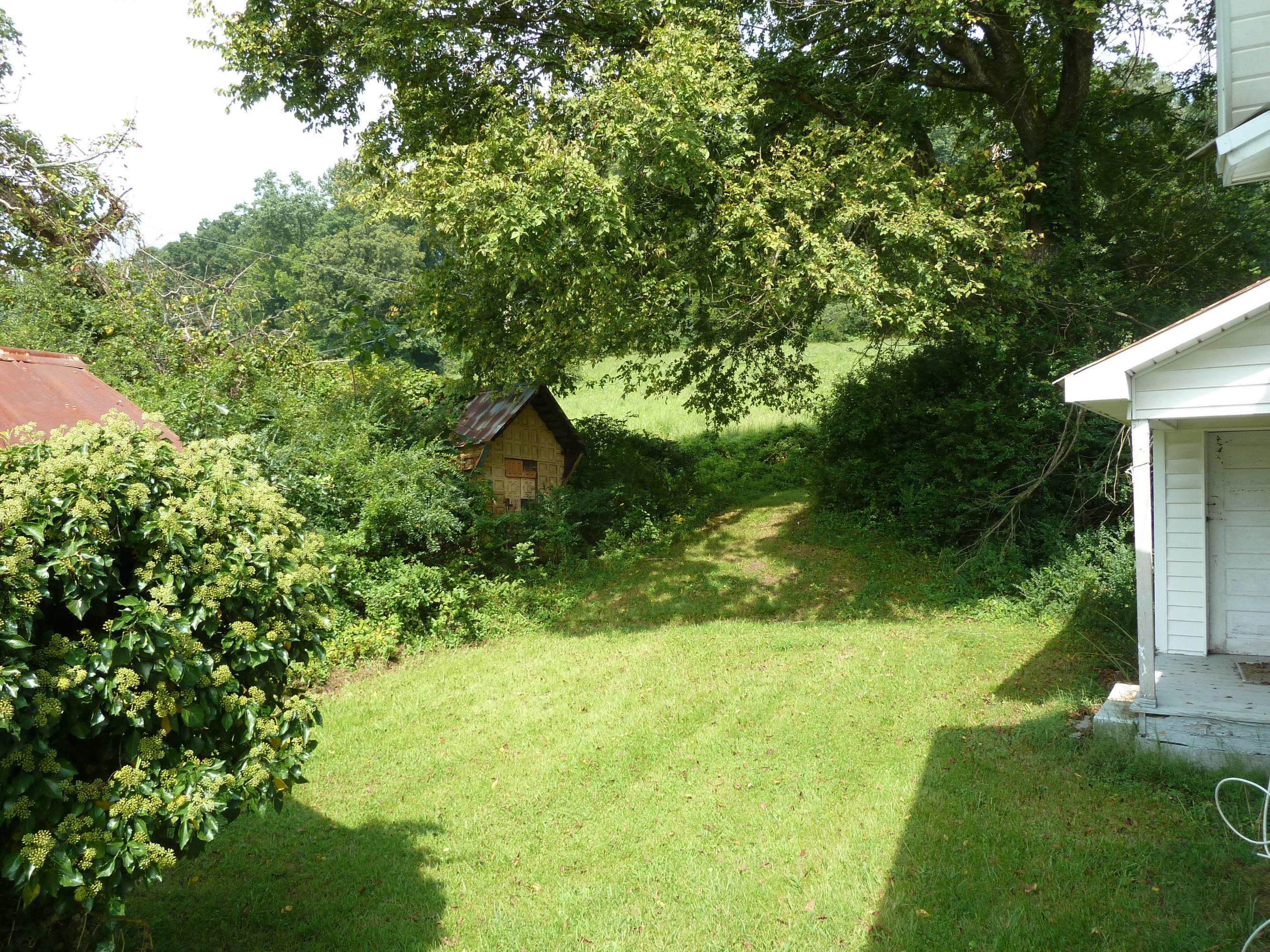 3812 Hickory Valley Road Maynardville, TN 37807 - Photo 8 of 11 P1130123