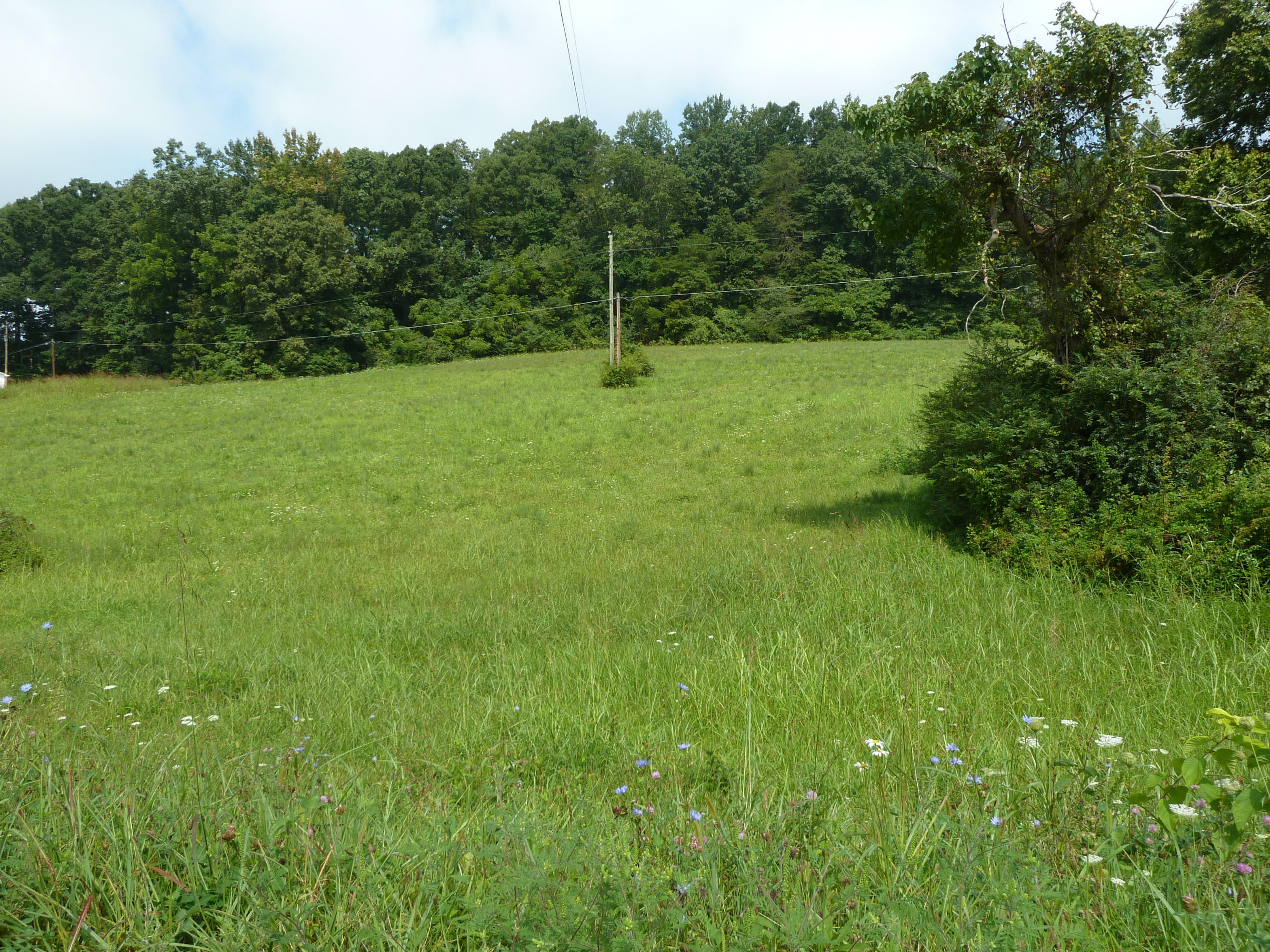 3812 Hickory Valley Road Maynardville, TN 37807 - Photo 10 of 11 P1130125