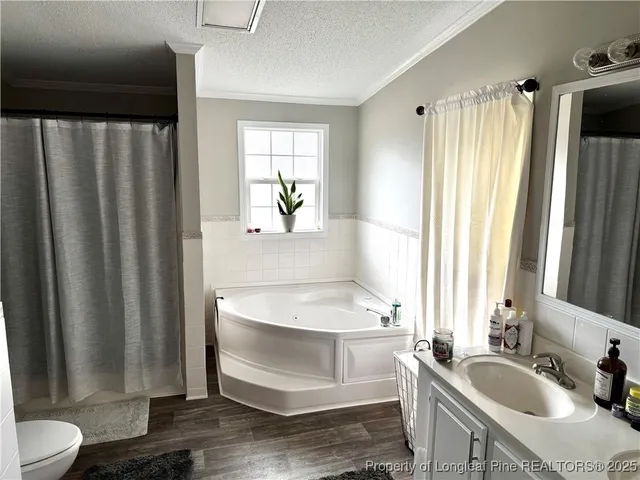 a bathroom with a sink toilet and vanity