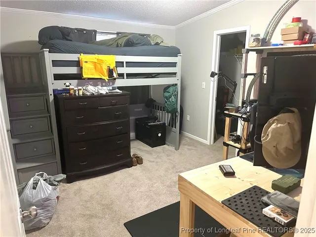 a view of a yard with trees