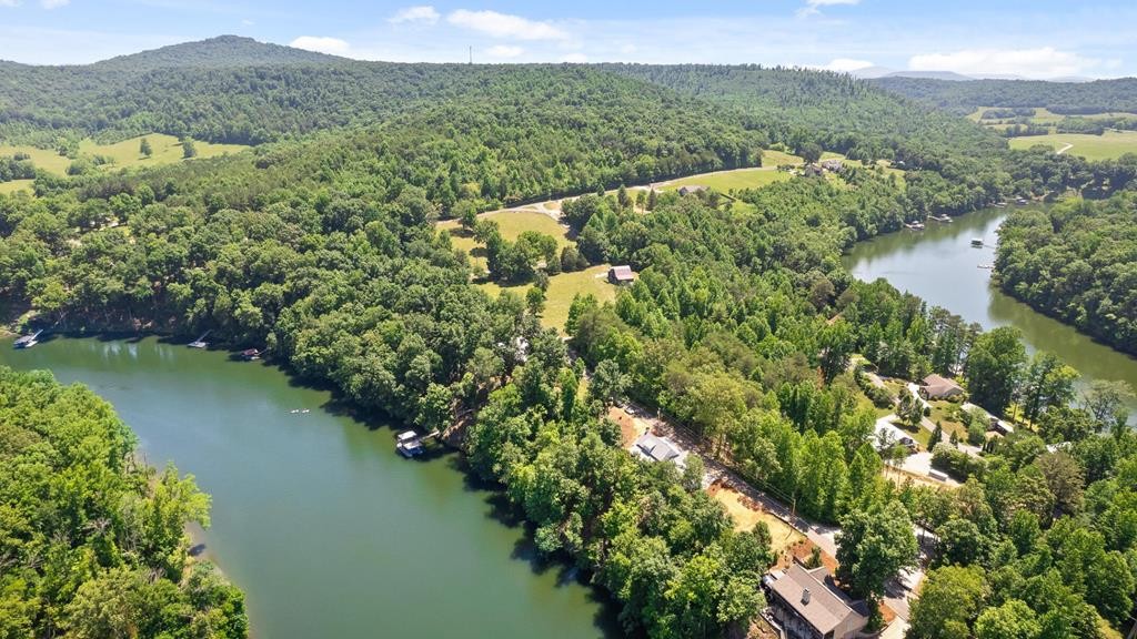 300 Chandler Road Doyle, TN 38559 - Photo 79 of 81