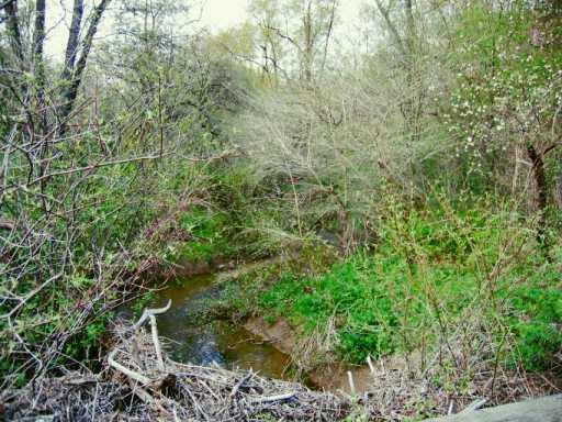 1346 5 Points Road Indiana, PA 15701 - Photo 4 of 5 Other.