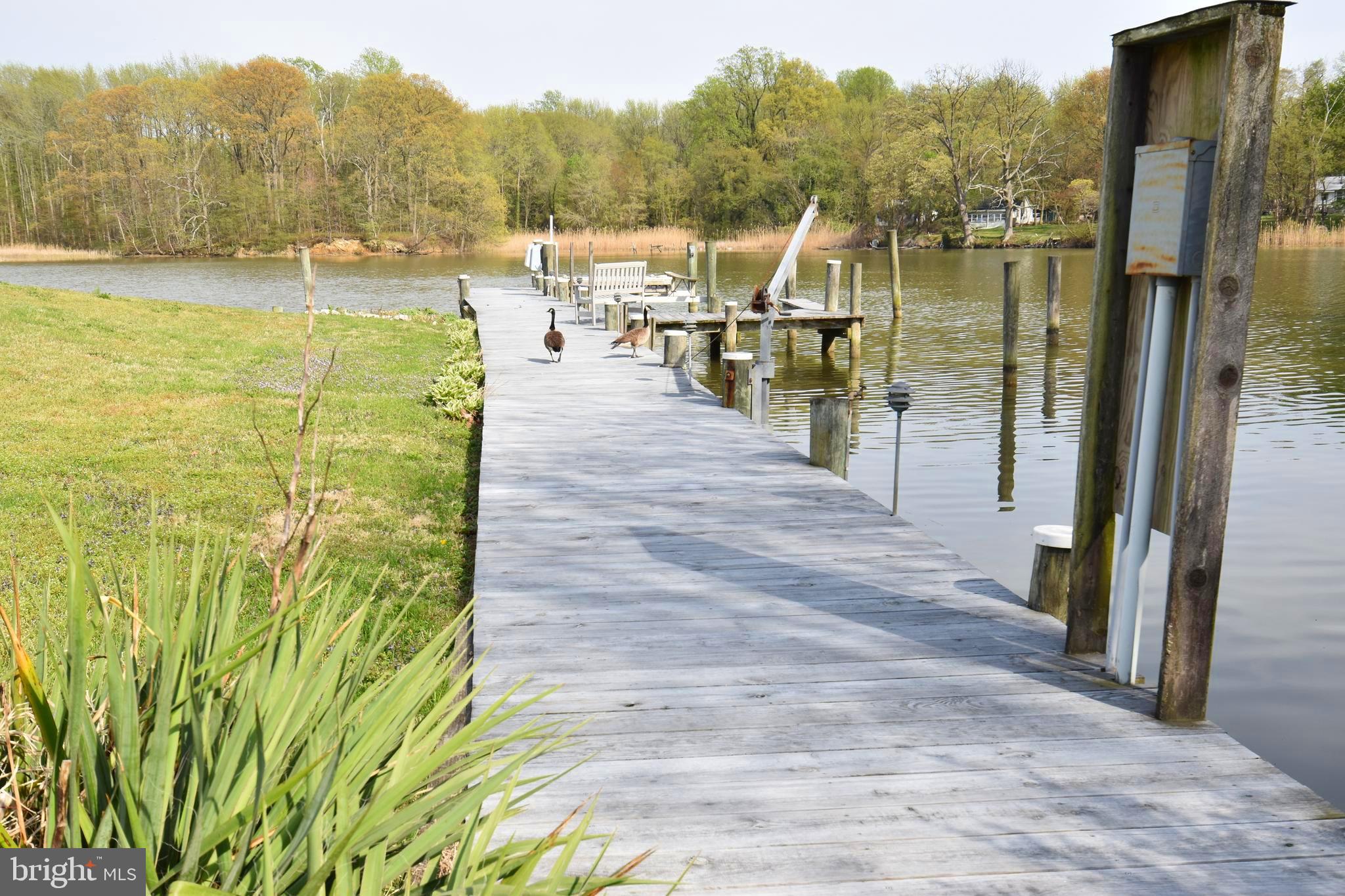 2312 Poplar Road Baltimore, MD 21221 - Photo 2 of 56 Pier Recently Decked w/ Boat Slip & Jet Ski Divit