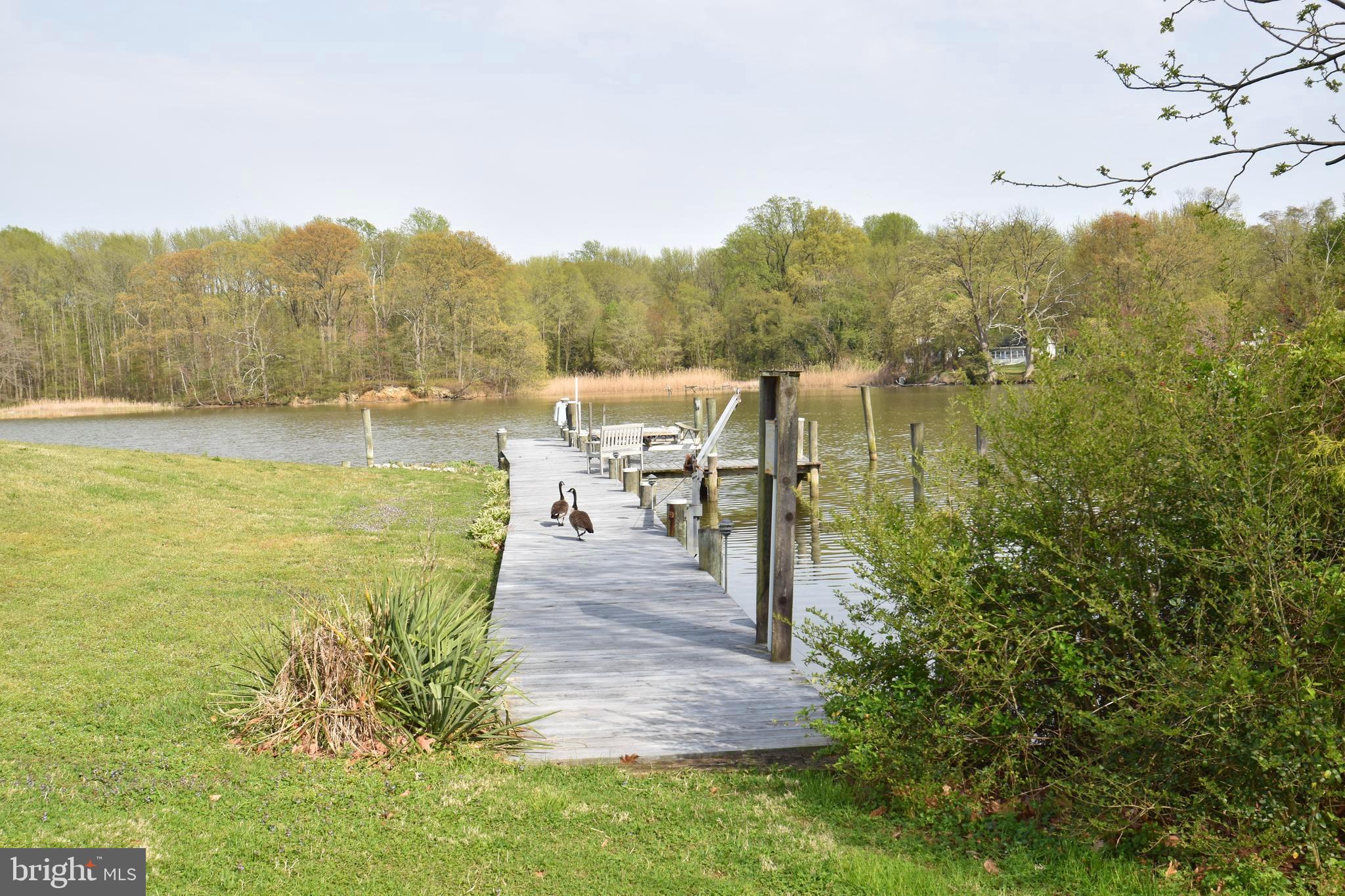 2312 Poplar Road Baltimore, MD 21221 - Photo 16 of 56 Pier Recently Decked w/ Boat Slip & Jet Ski Divit