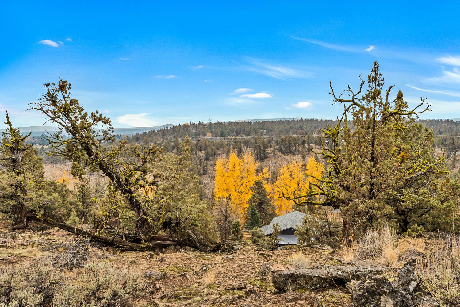 19250 Dayton Road Bend, OR 97703 - Photo 28 of 49 OReilly_20211103_28_141549_72ppi
