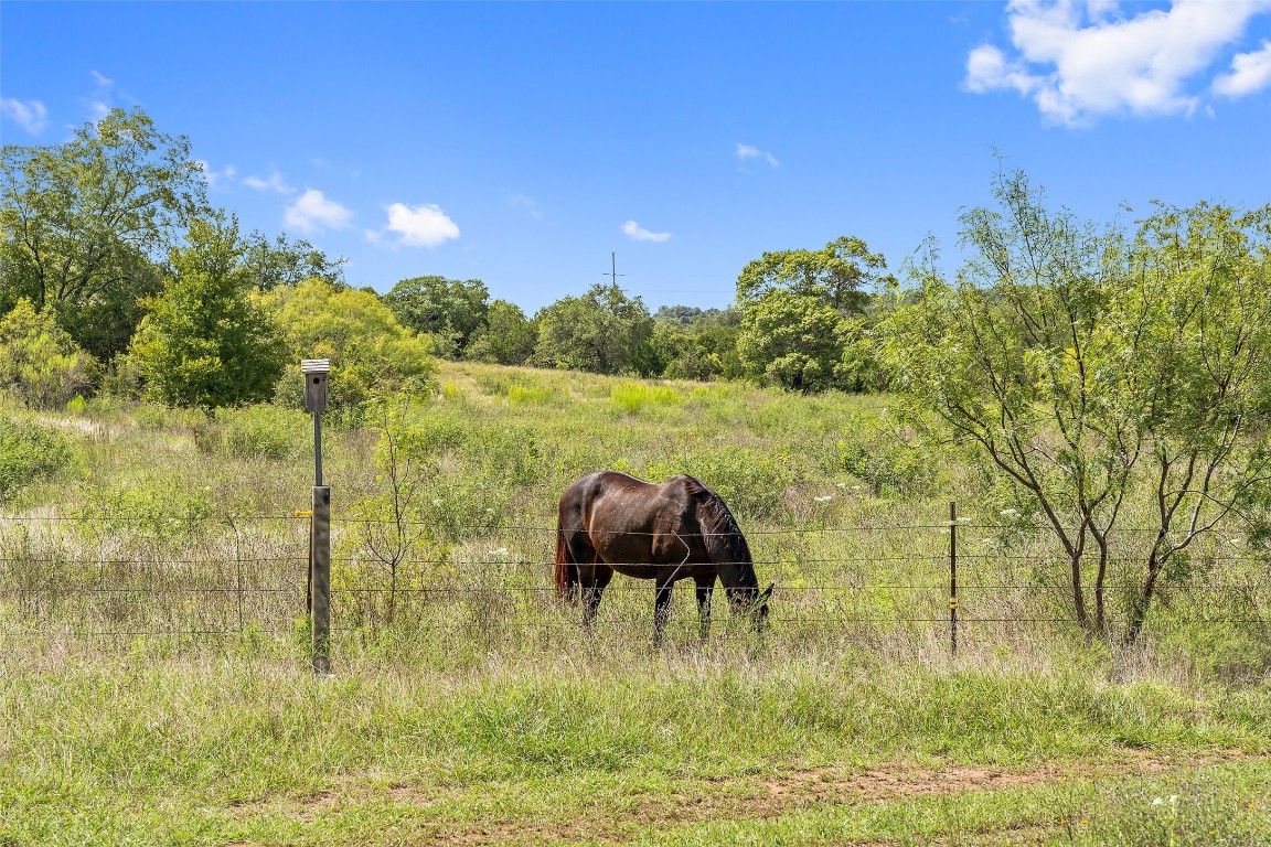 13824 Lone Rider Trail Austin, TX 78738 - Photo 31 of 40 a view of a lake from a yard