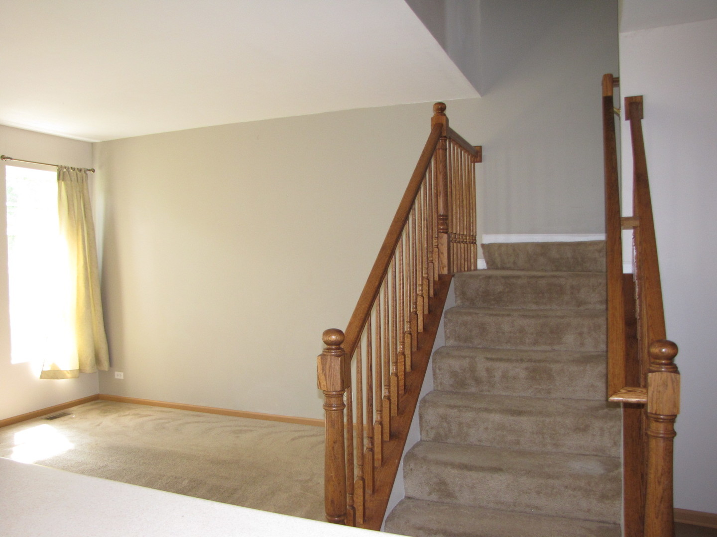 1933 West Cobblestone Road Romeoville, IL 60446 - Photo 18 of 23 Gallery Image 18