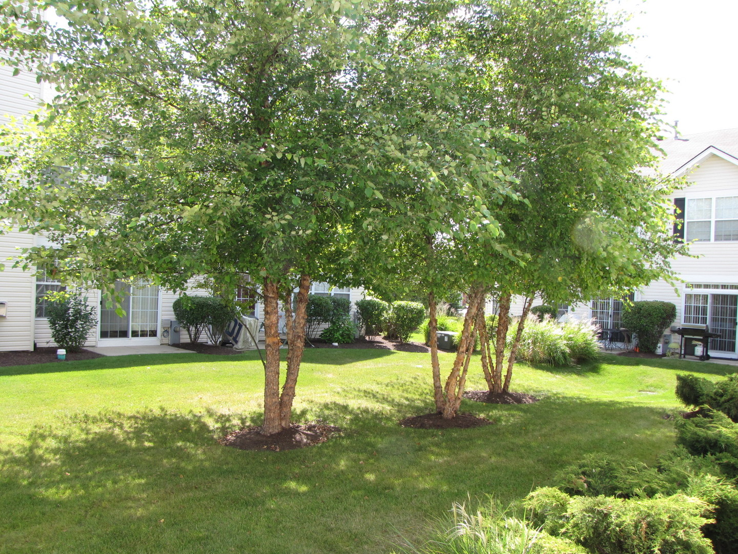 1933 West Cobblestone Road Romeoville, IL 60446 - Photo 21 of 23 Gallery Image 21