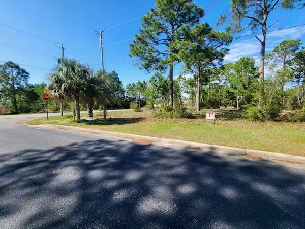 a view of a park with large trees
