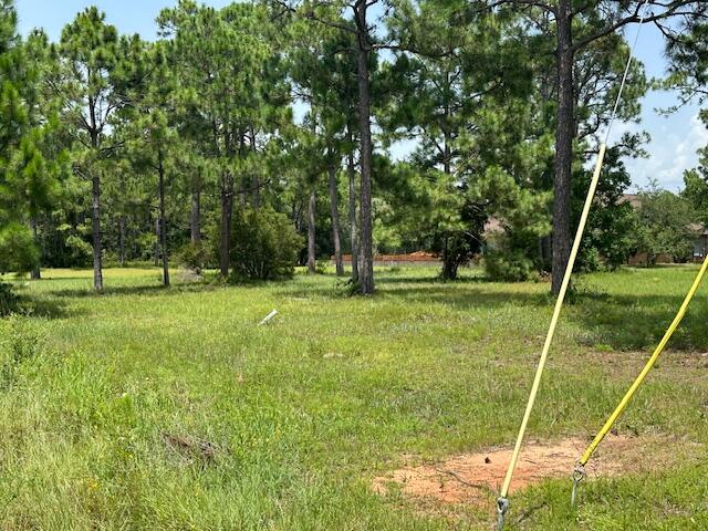 1076 Pearson Road Milton, FL 32583 - Photo 2 of 6 a view of a park with a tree